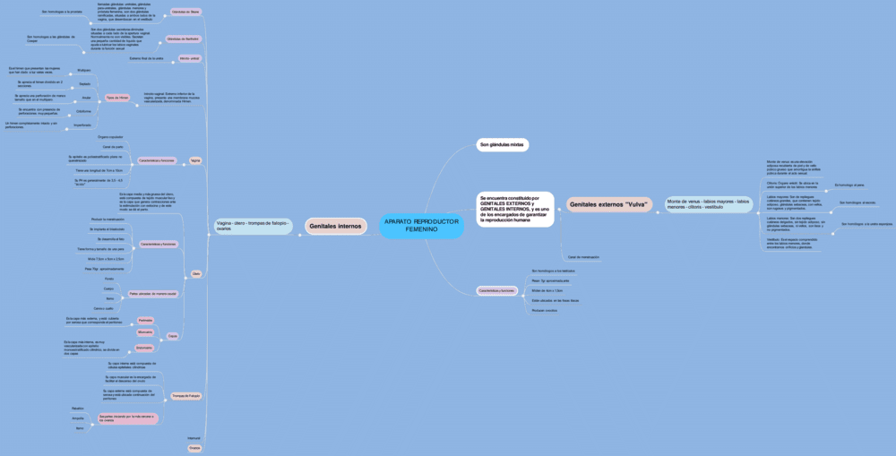 Mapa mental aparato reproductor femenino 4