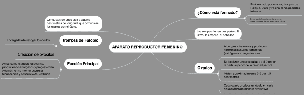 Mapa mental aparato reproductor femenino 5