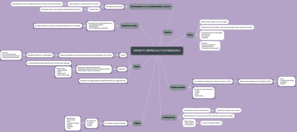 Mapa mental aparato reproductor femenino