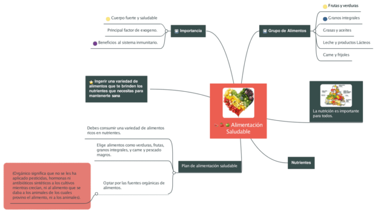 Mapas mentales de la alimentación 【Descargar】