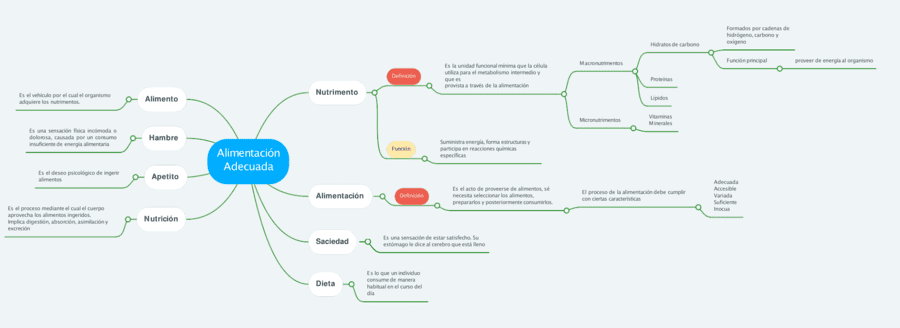Mapa mental de la alimentación 13