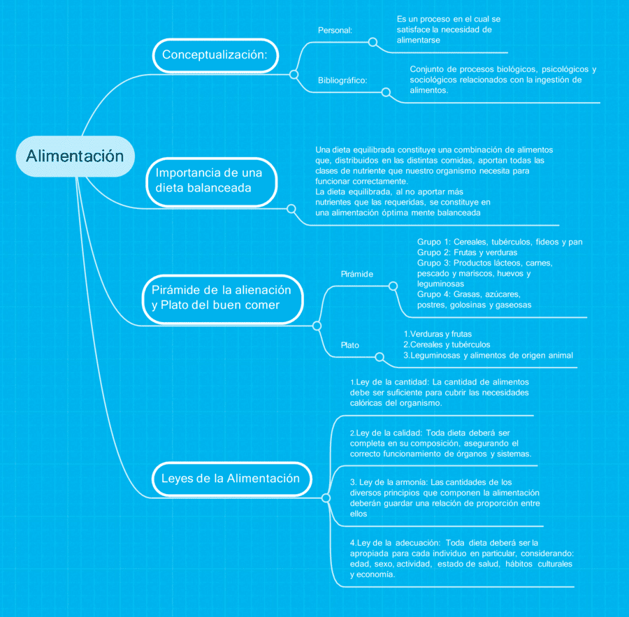 Mapa mental de la alimentación 14