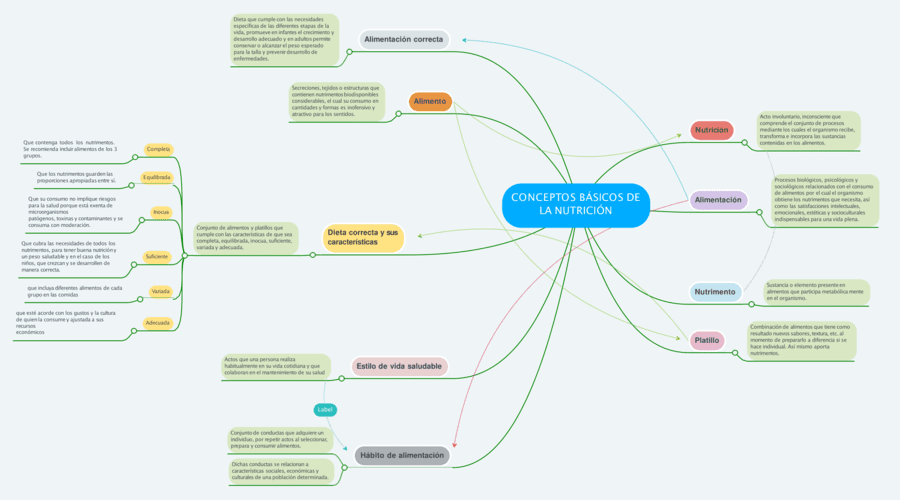 Mapa mental de la alimentación 15