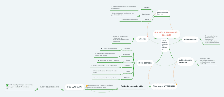 Mapa mental de la alimentación 16