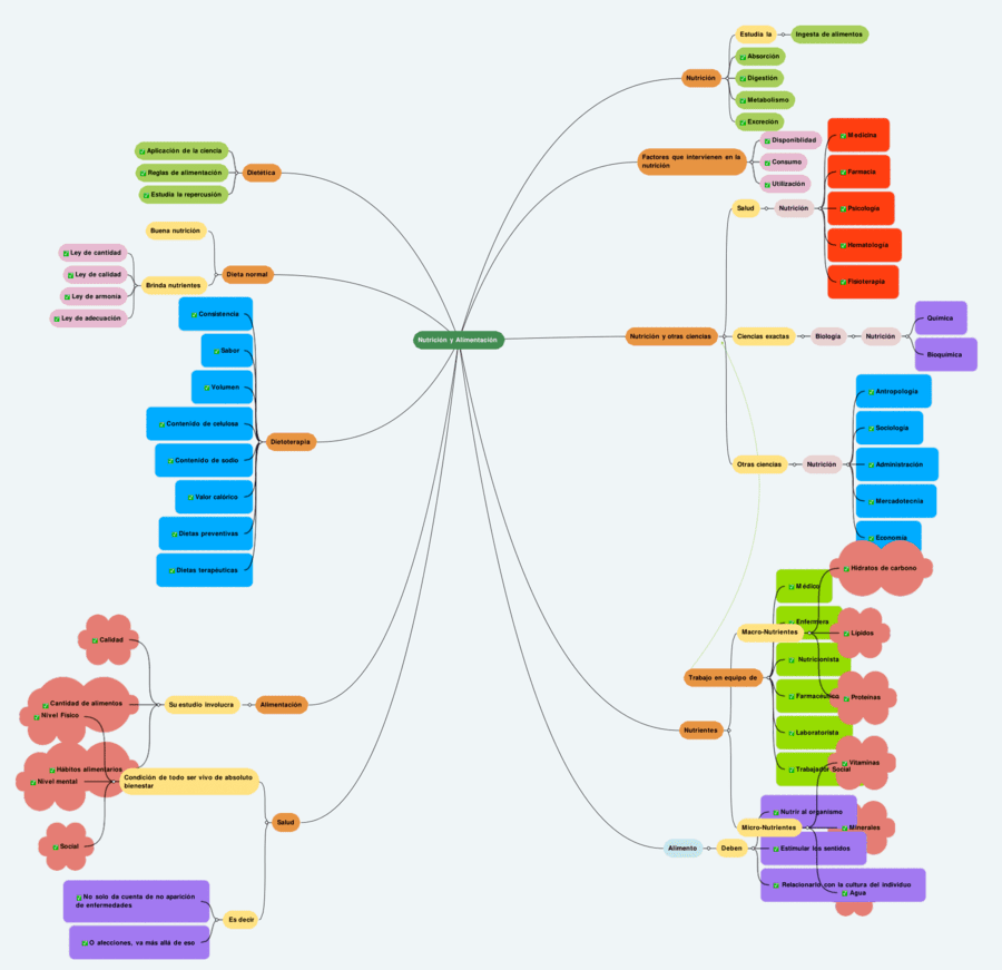 Mapa mental de la alimentación 17
