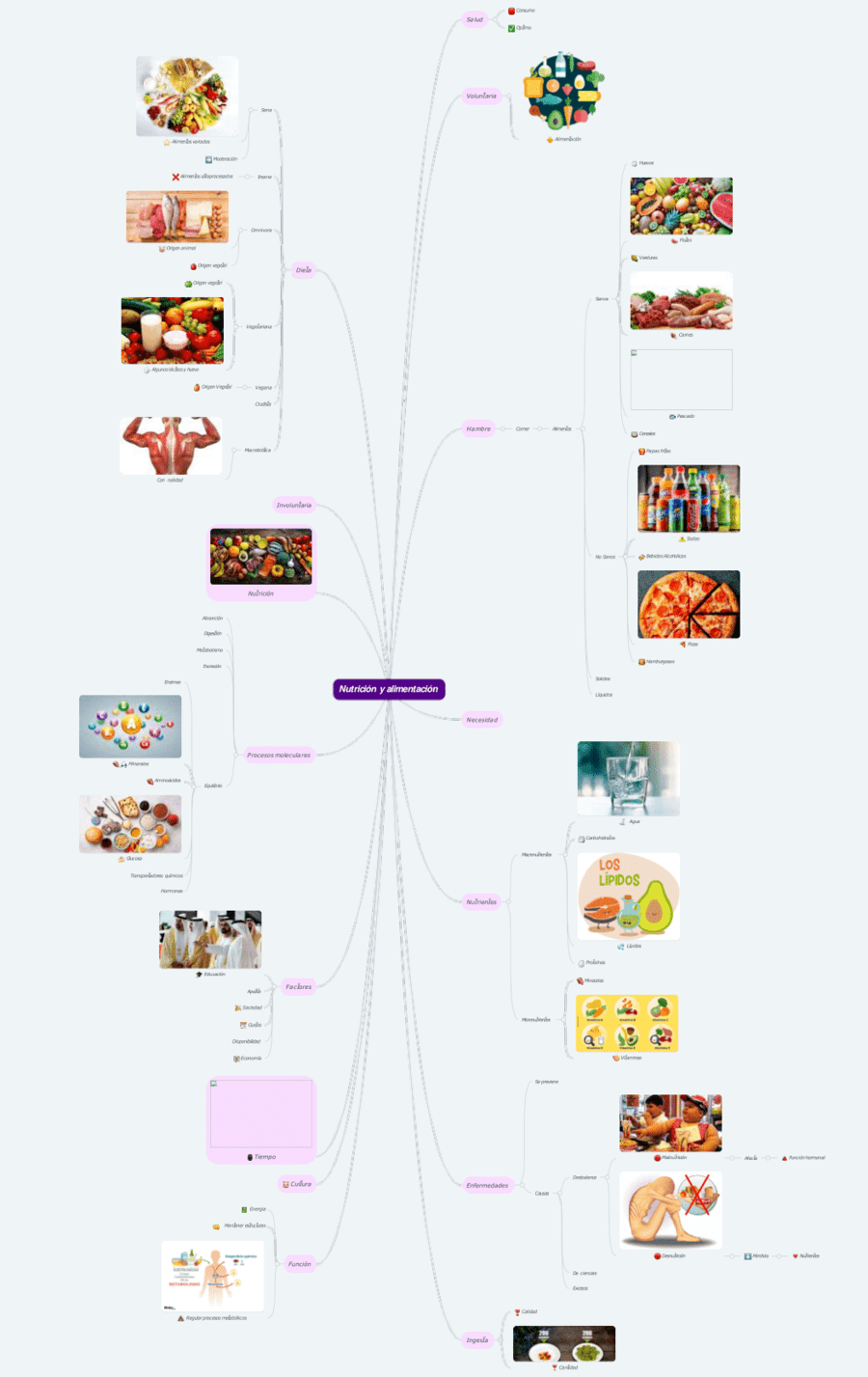 Mapa mental de la alimentación 19