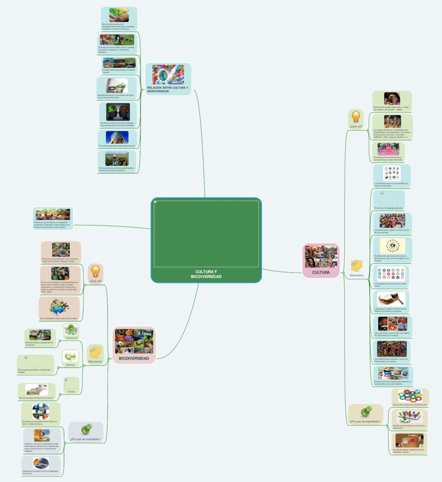 Mapa mental de la biodiversidad 5