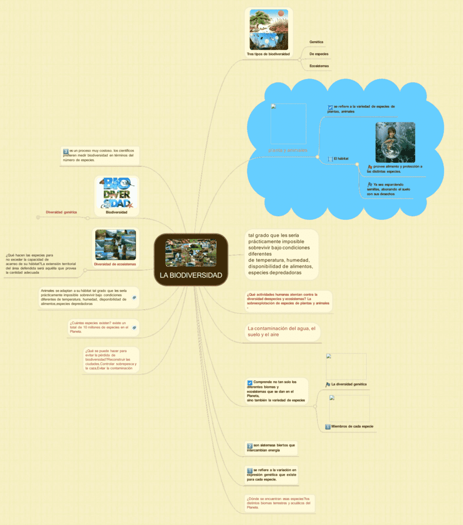 Mapa mental de la biodiversidad 6