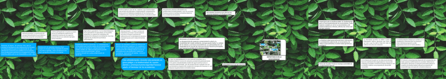 Mapa mental de la biodiversidad 7