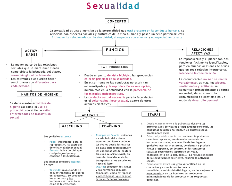 Mapas mentales de la sexualidad 【Descargar】