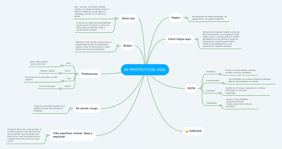 Mapa mental proyecto de vida 9