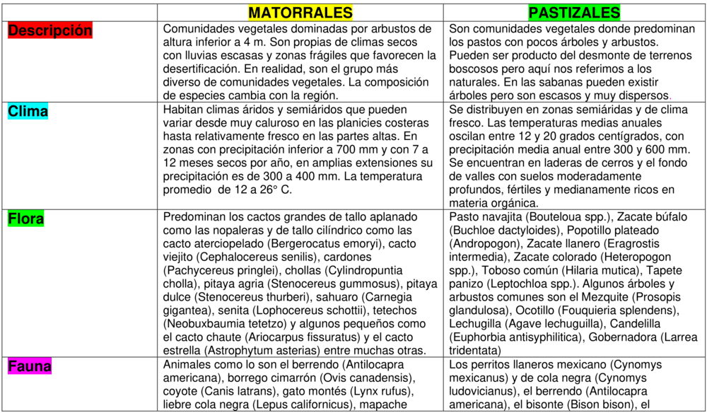 Plantilla cuadro de doble entrada en Word 6