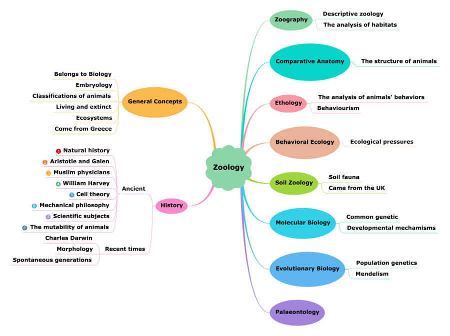 Plantilla mapa mental en Word 30